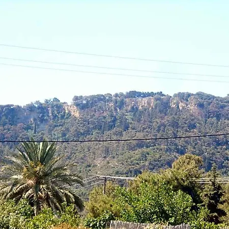 Sofia Rhodes City